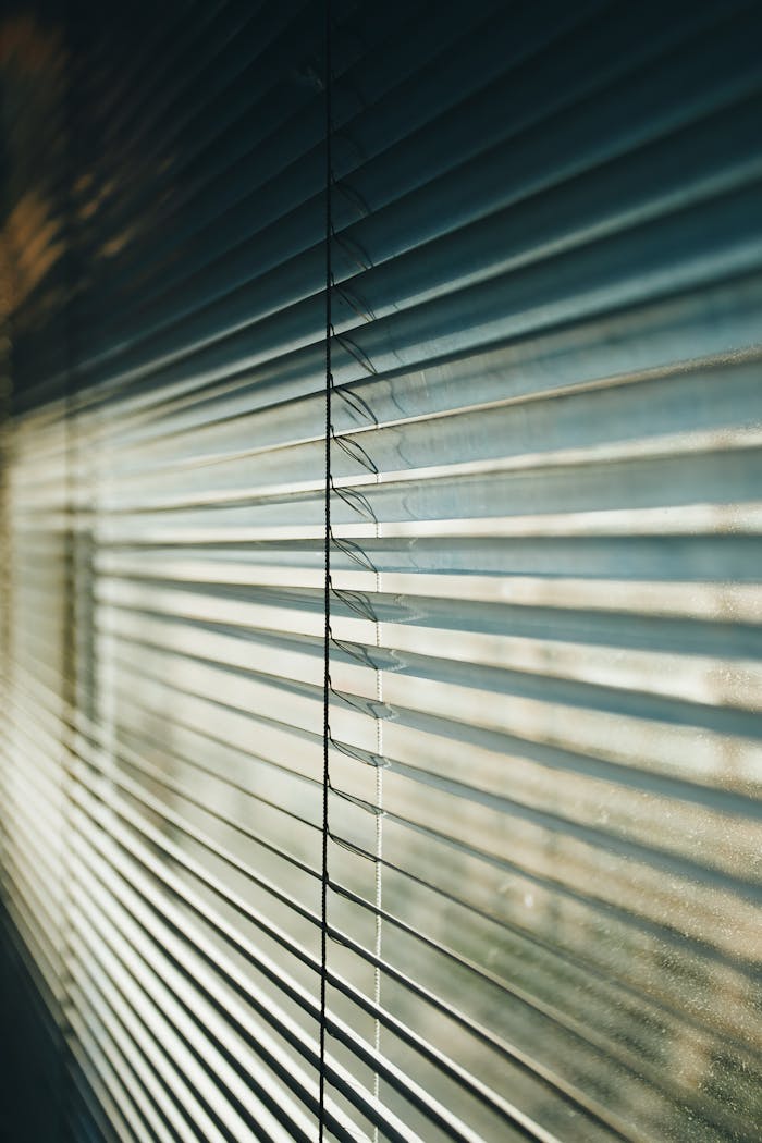 Mastering the First Impression: Your intriguing post title goes here Modern metal Venetian blinds in white color covering window and sunlight coming through